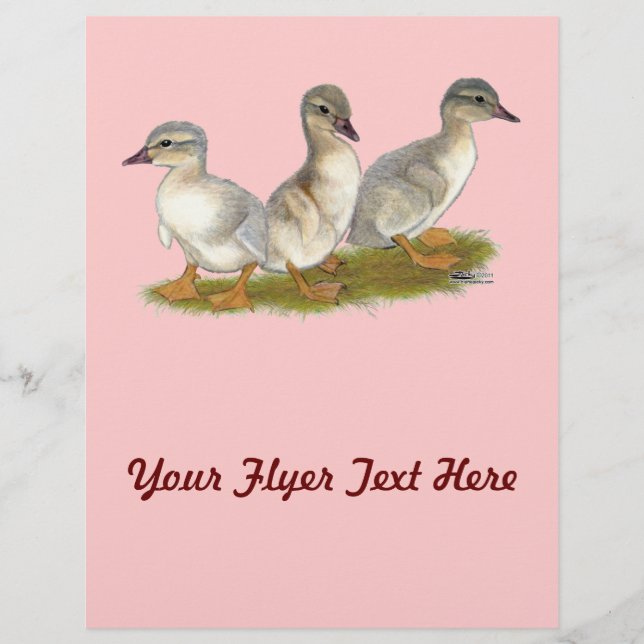 Flyer Sajonia Ducklings (Frente)