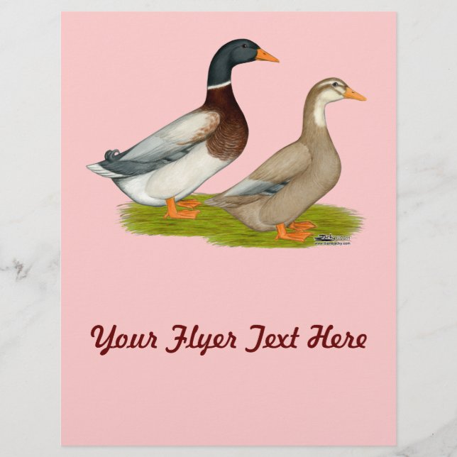 Flyer Sajonia Ducks (Frente)