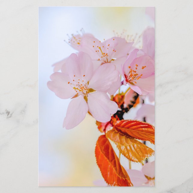 Flyer Sakura - Flor de cerezo japonesa (Frente)