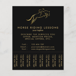 Flyer Saltando Caballo   Caballo   Entrenador de caballo