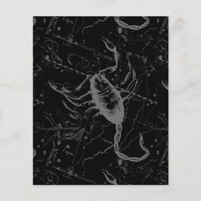 Flyer Scorpio Constellation Hevelius 1690 en negro (Frente)