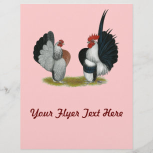 Flyer Serama Bantams