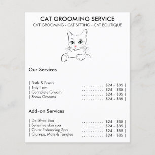 Flyer servicio de aseo de gatos moderno