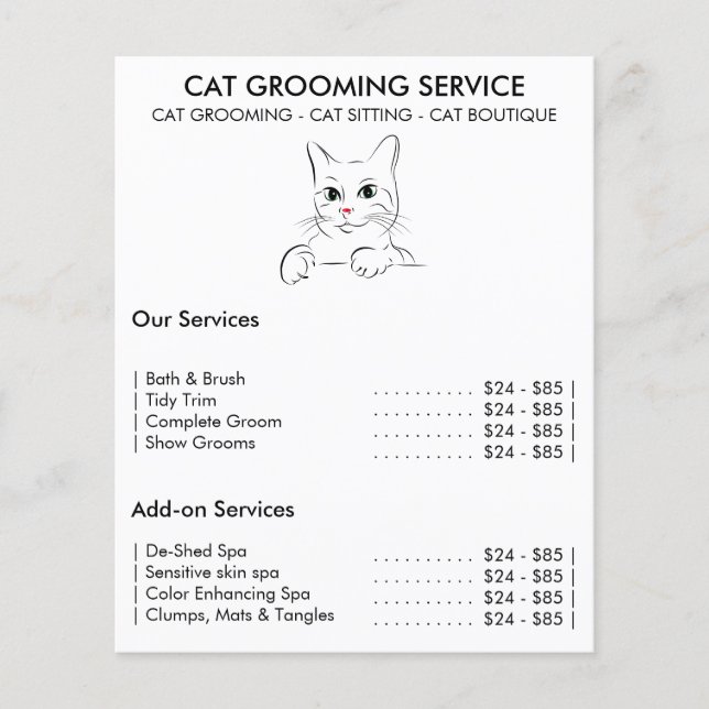 Flyer servicio de aseo de gatos moderno (Frente)