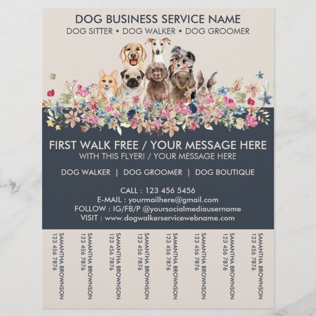 Flyer Servicio de Paseador de Perros Ivory Navy (Frente)