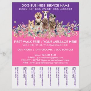Flyer Servicio de paseo de perros de razas rosa neón púr
