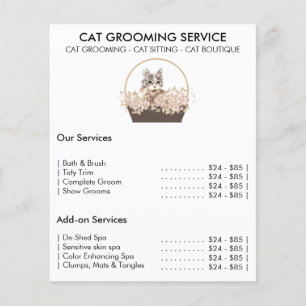 Flyer servicio mínimo de aseo de gatos