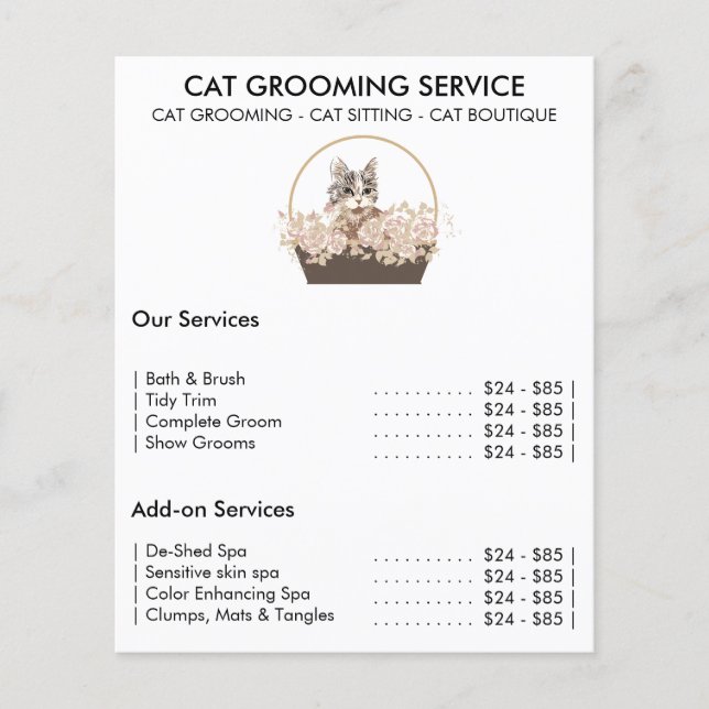 Flyer servicio mínimo de aseo de gatos (Frente)