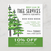 Servicios de árbol profesional