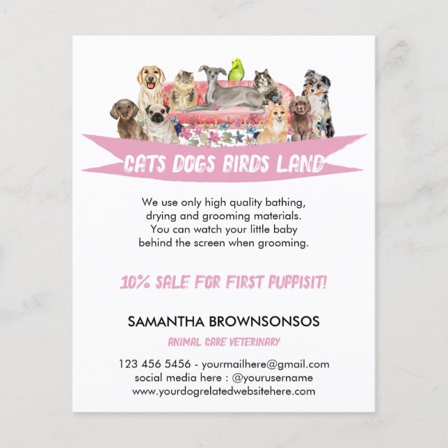 Flyer Servicios de Cuidado de Mascotas Perro Gato Pájaro (Frente)