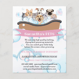 Flyer Servicios de cuidado de mascotas Spa para perros y