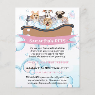 Flyer Servicios de cuidado de mascotas Spa para perros y