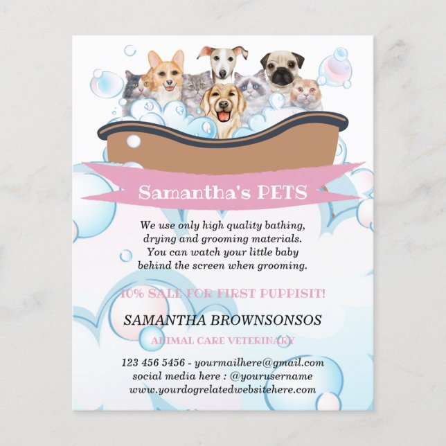 Flyer Servicios de cuidado de mascotas Spa para perros y (Frente)