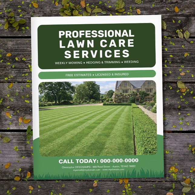 Flyer Servicios Profesionales de Cuidado de Césped (Professional Lawn Care Services Flyer)