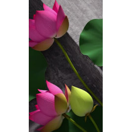 Flyer Símbolo ZEN de la casa abierta del estudio del ins