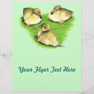 Flyer Snowy Mallard Ducklings