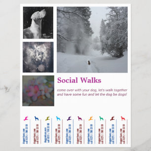 Flyer Social Dog pasea a Ripp 