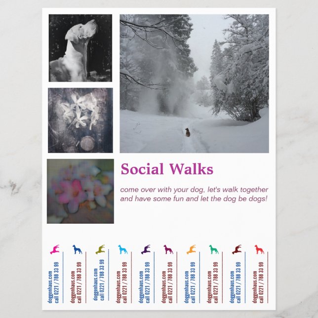 Flyer Social Dog pasea a Ripp  (Frente)