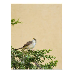 Flyer Sparrow