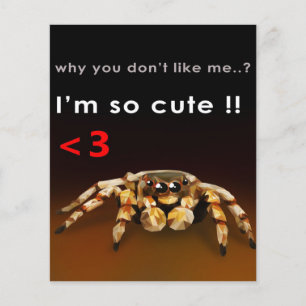 Flyer Spider, soy muy lindo Araña Lover Gift