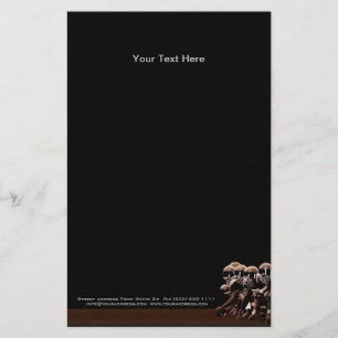 Flyer Suministro de la Oficina de Fútbol de Estados Unid