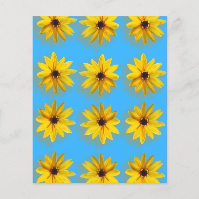 Flyer Sunshine Y Felicidad (Frente)