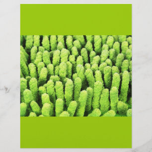 Flyer Tejido de microfibra
