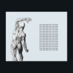 Flyer Terapia quiropráctica Masaje Anatomía quiropráctic<br><div class="desc">Quiropráctico Chiropráctico Masaje Spa Terapia Anatomía Volantes.</div>