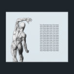 Flyer Terapia quiropráctica Masaje Anatomía quiropráctic<br><div class="desc">Quiropráctico Chiropráctico Masaje Spa Terapia Anatomía Volantes.</div>