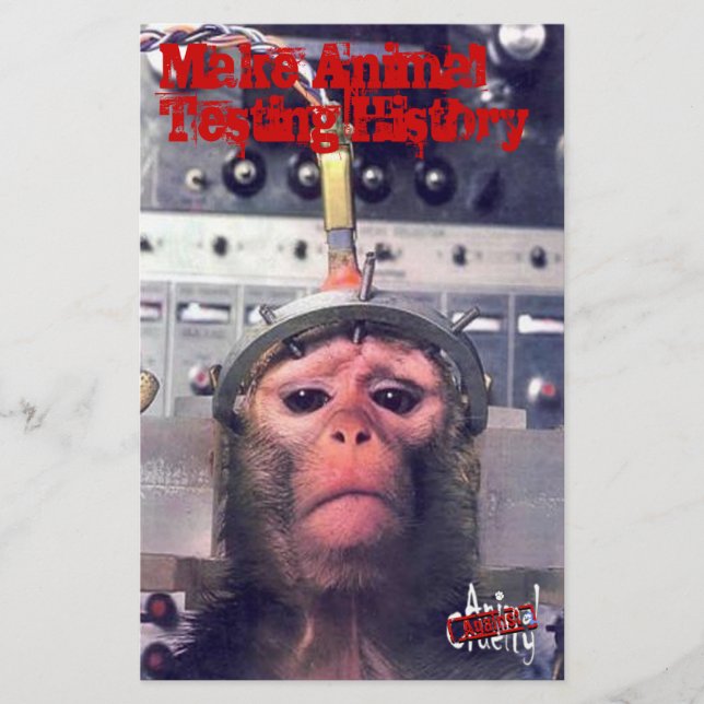 Flyer Terminar con las pruebas en animales (Frente)