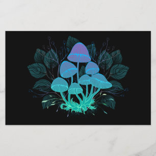 Flyer Toadstools en Bushes