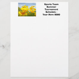 Flyer Torneos de verano de equipos deportivos personaliz