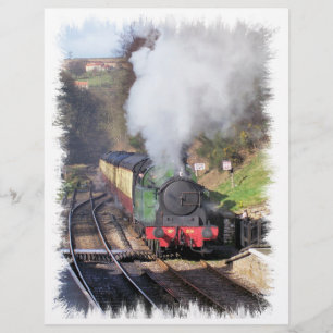 FLYER TRENES DE VAPOR