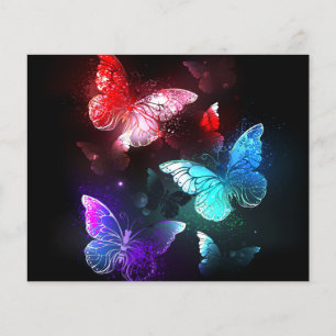 Flyer Tres mariposas brillantes en el fondo nocturno