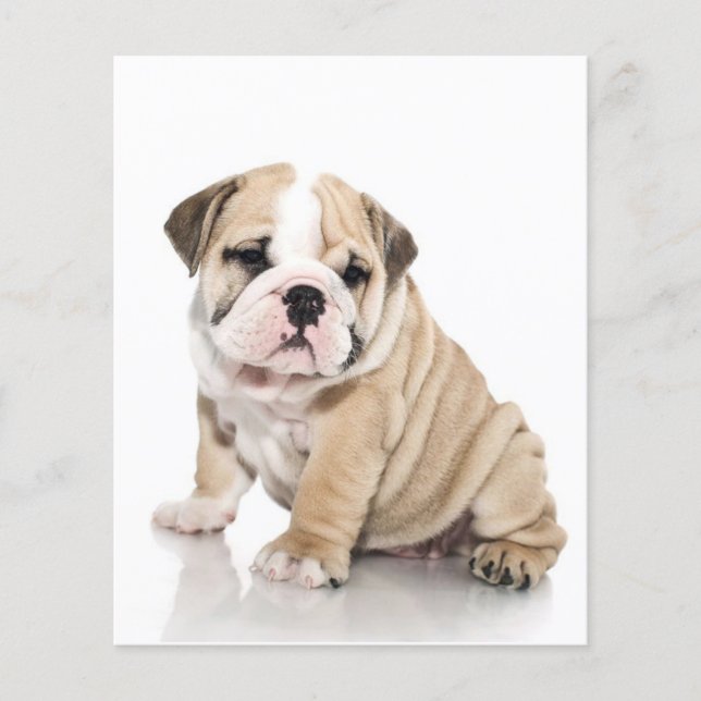 Flyer Triste Bulldog de cachorros (Frente)
