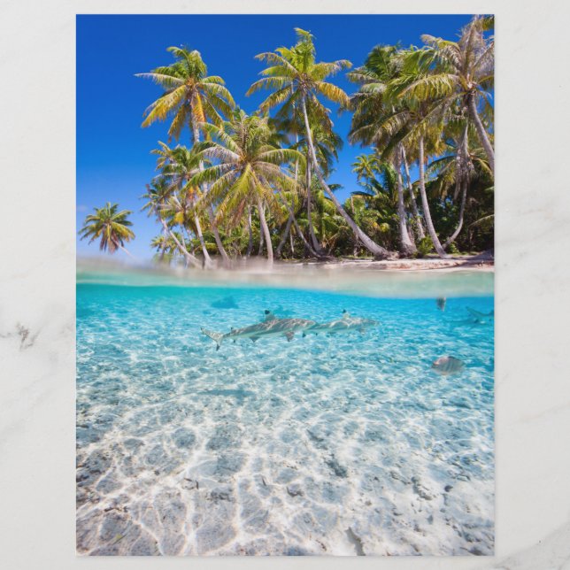 Flyer Tropical island under and above water (Frente)