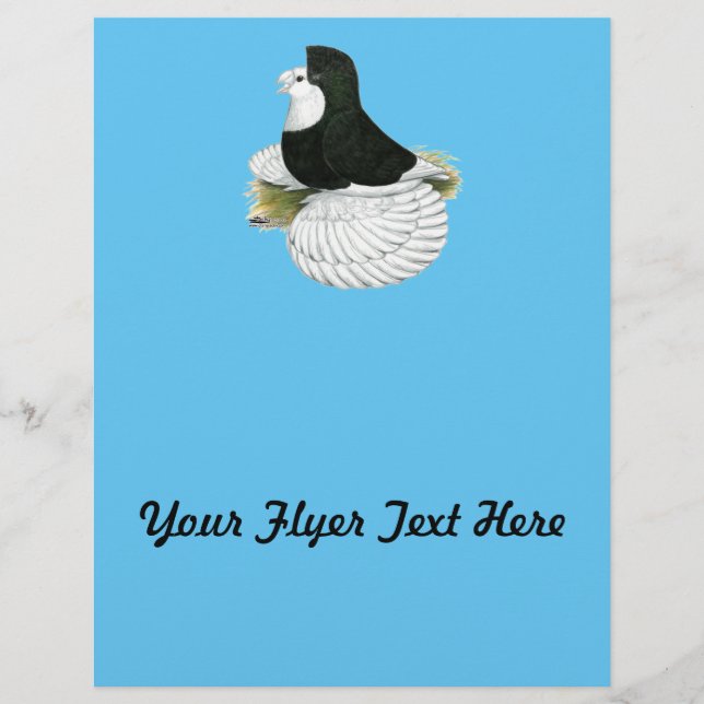 Flyer Trumpeter Pigeon Black Baldhead (Frente)