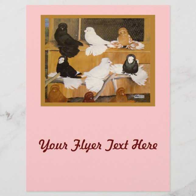 Flyer Trumpeter Pigeon Champions (Frente)