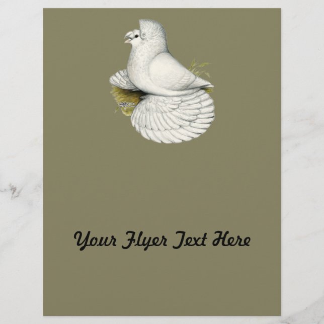 Flyer Trumpeter Pigeon White (Frente)