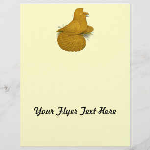 Flyer Trumpeter Pigeon Yellow