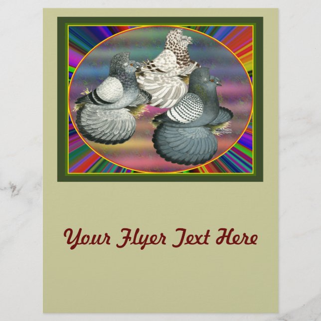 Flyer Trumpeters Pigeons Tres (Frente)