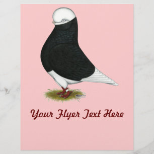 Flyer Tumbler Pigeon Black Bald CL