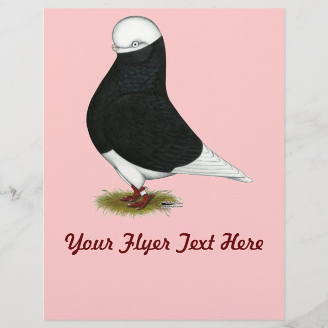 Flyer Tumbler Pigeon Black Bald CL (Frente)