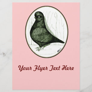 Flyer Tumbler Pigeon LFCL de 1978