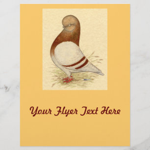 Flyer Tumbler Pigeon: LFCL Mealy