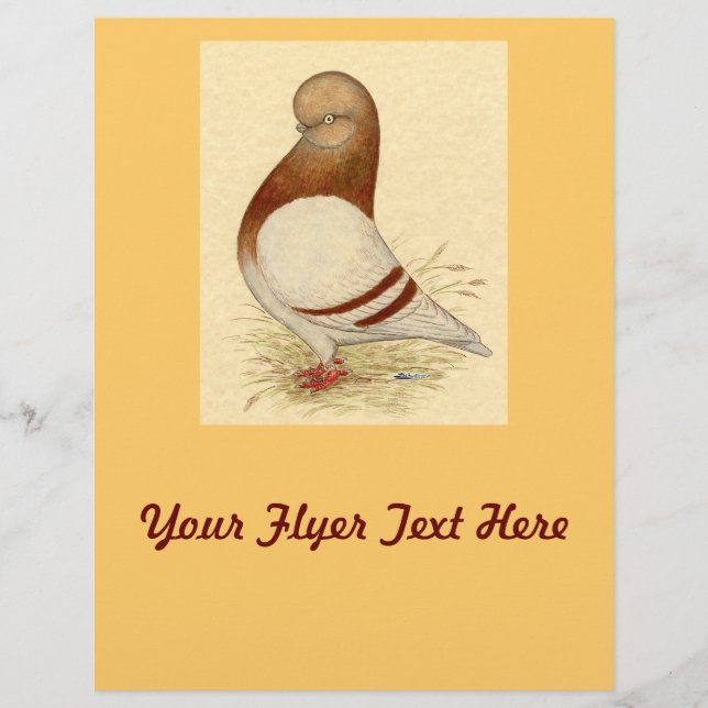 Flyer Tumbler Pigeon: LFCL Mealy (Frente)