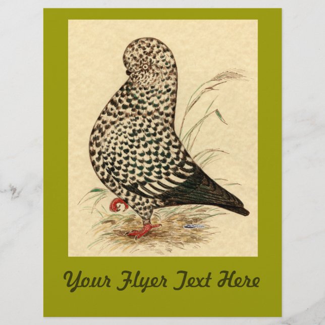 Flyer Tumbler Pigeon LFCL Splash (Frente)