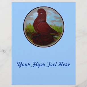 Flyer Tumbler Pigeon Red Muff