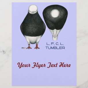 Flyer Tumbler Pigeon Standard Black Bald