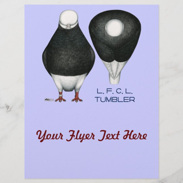 Flyer Tumbler Pigeon Standard Black Bald (Frente)